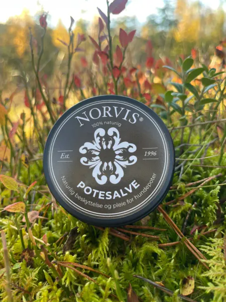 Norvis Potesalve