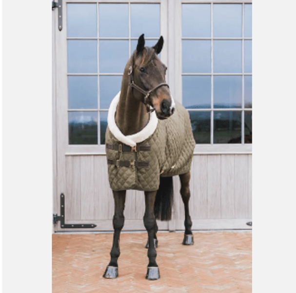 Kentucky Show Rug 160g