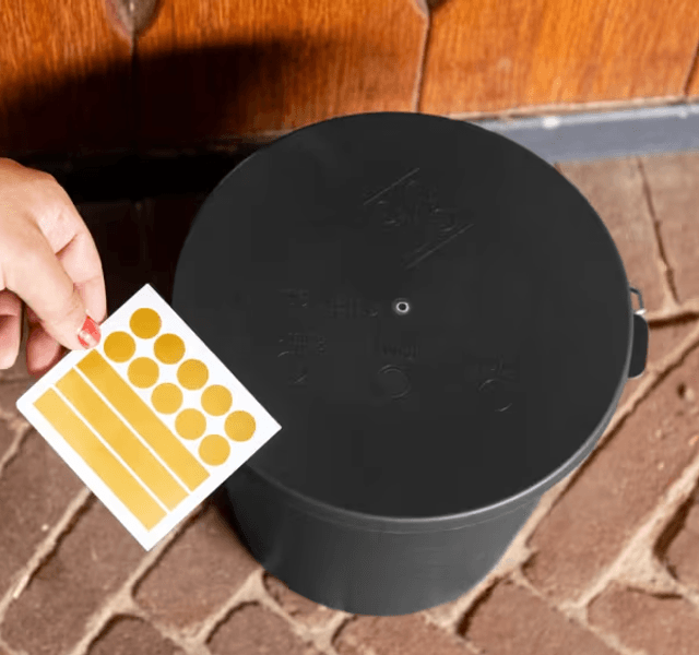 Grooming Deluxe bucket with Lid 5L