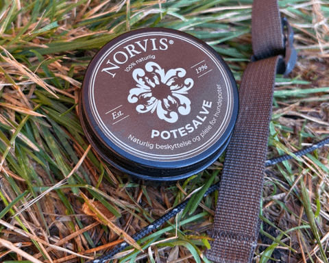 Hovedbilde Norvis Potesalve
