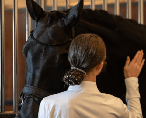 Hovedbilde EQ Saga H&aring;rnett