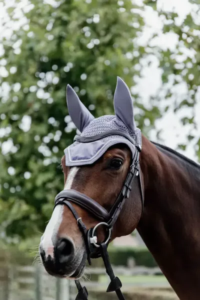 Kentucky Fly Veil Wellington Velvet
