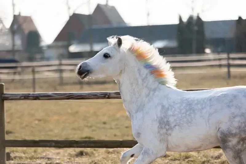 Unicorn Rainbow Crayons