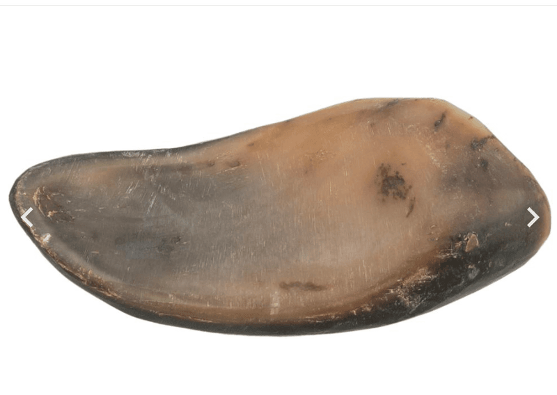 Trixie Buffalo Horn m/Fyll